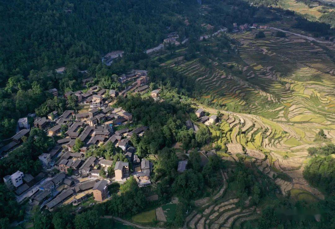 “岩岩夏日大联欢”主题活动